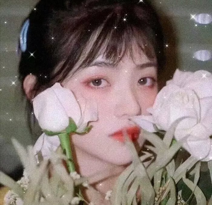 玄璃美人煞高清观看